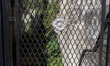 CASA 3 AMB A REFACCIONAR - LOTE 10x36