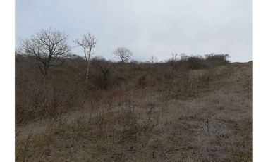 Terreno de venta en Machalilla Puerto López