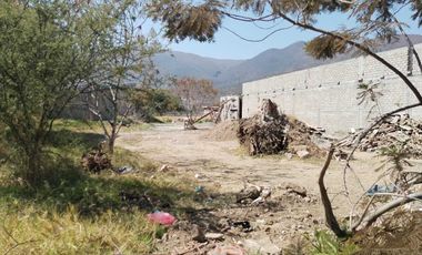 SE VENDE TERRENO SOBRE CARRETERA SANTA MARIA EL TULE