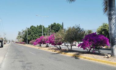SE VENDE TERRENO SOBRE CARRETERA SANTA MARIA EL TULE