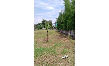 Jual Tanah 1 Ha Bonus Gudang 1700m2 Di Cileungsi Luas Bebas Banjir