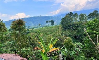 DIJUAL RUMAH JOGLO ADA KOLAM RENANG KEMUNING KARANGANYAR
