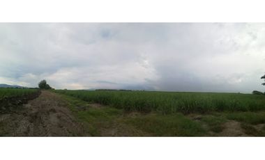 VENDE LOTE PALMIRA VALLE