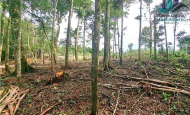 POTRERILLO ARRIBA, INCREBLE FINCA EN VENTA