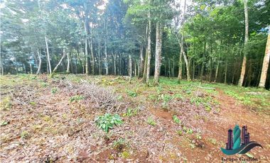 POTRERILLO ARRIBA, INCREBLE FINCA EN VENTA
