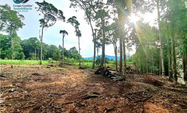 POTRERILLO ARRIBA, INCREBLE FINCA EN VENTA