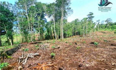 POTRERILLO ARRIBA, INCREBLE FINCA EN VENTA