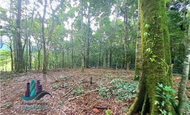 POTRERILLO ARRIBA, INCREBLE FINCA EN VENTA