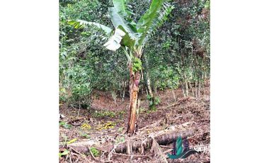POTRERILLO ARRIBA, INCREBLE FINCA EN VENTA