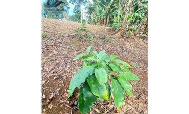 POTRERILLO ARRIBA, INCREBLE FINCA EN VENTA