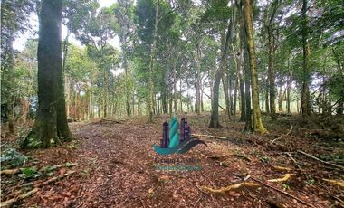 POTRERILLO ARRIBA, INCREBLE FINCA EN VENTA