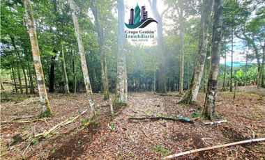POTRERILLO ARRIBA, INCREBLE FINCA EN VENTA