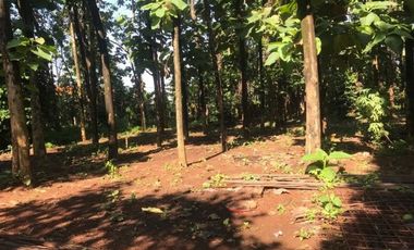 Disewakan Tanah Luas Cocok Untuk Usaha di Pinggir Jalan Raya Hankam, Pondok Melati