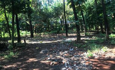 Disewakan Tanah Luas Cocok Untuk Usaha di Pinggir Jalan Raya Hankam, Pondok Melati