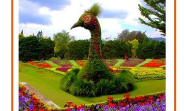 Cluster cantik smarthome ala villa sejuk mewah Di Cipanas cianjur dkt PUNCAK