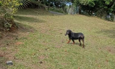 finca en venta en vereda lococho sasaima. Cod V207