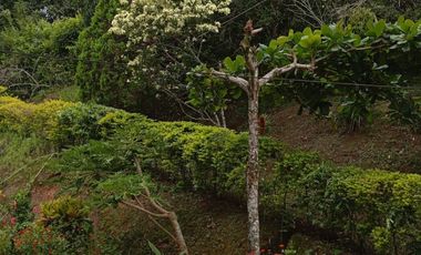 finca en venta en vereda lococho sasaima. Cod V207