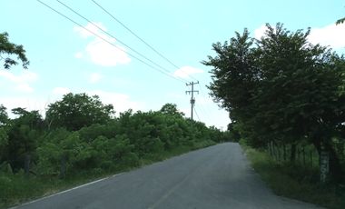 1.18 hectáreas plana en jilguero cerca de Jamapa cercado y en zona alta