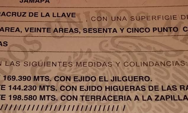 1.18 hectáreas plana en jilguero cerca de Jamapa cercado y en zona alta