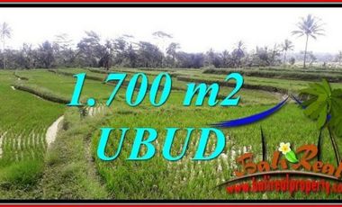 Murah 17 are View Sawah ! Peluang Investasi di Ubud Bali