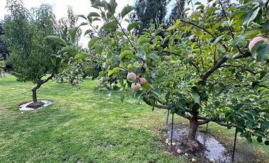 Casa en Venta en SECTOR SAN JUAN