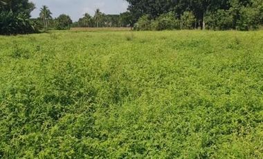 Farm Lot for Sale in Tayabas, Quezon Province