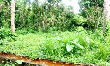 FOR SALE: Land with Hot Spring in Tiaong Quezon