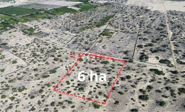¡🌟 Oportunidad única de inversión en Piura! 🌟

¿Buscas un terreno con potencial en una ubicación estratégica? ¡Este es el lugar perfecto para ti! 🏡