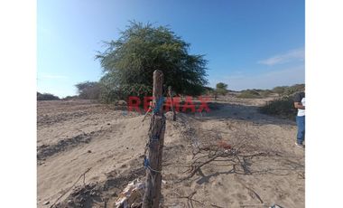 ¡🌟 Oportunidad única de inversión en Piura! 🌟

¿Buscas un terreno con potencial en una ubicación estratégica? ¡Este es el lugar perfecto para ti! 🏡