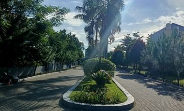 Rumah Hadap Timur LB 170 SHM 9 Menit ke Bogor Great Mall J-39743