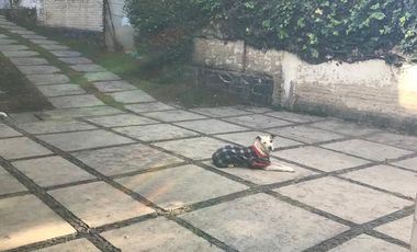 CASA EN VENTA EN LOMAS DE BEZARES