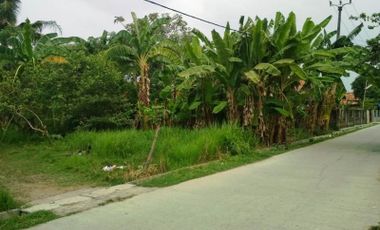 Tanah Jual Jalan KH Rahiman Sriamur Tambun Utara Bekasi
