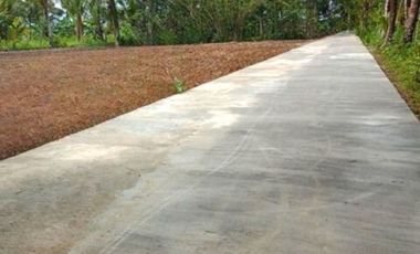 Selagi Murah; 900 Meter Jl. Purworejo - Jogja; Kawasan Hunian