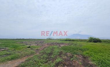 Venta De Terreno Agrícola De 3.82 Has