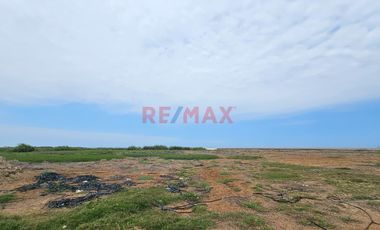 Venta De Terreno Agrícola De 3.82 Has