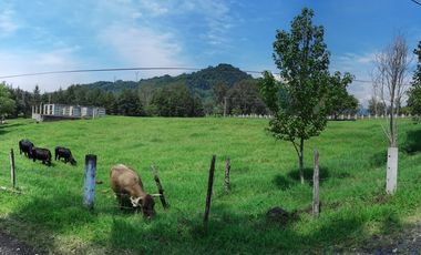 Se vende terreno en Coacoatzintla orilla de carretera