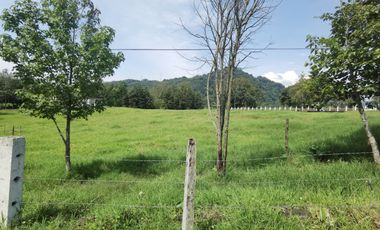 Se vende terreno en Coacoatzintla orilla de carretera