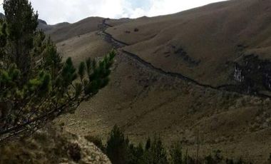 VENDO HACIENDA CON CRIADERO DE TRUCHAS EN EL ANGEL- CARCHI
