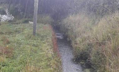 VENDO HACIENDA CON CRIADERO DE TRUCHAS EN EL ANGEL- CARCHI