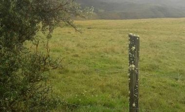 VENDO HACIENDA CON CRIADERO DE TRUCHAS EN EL ANGEL- CARCHI