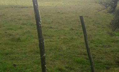 VENDO HACIENDA CON CRIADERO DE TRUCHAS EN EL ANGEL- CARCHI