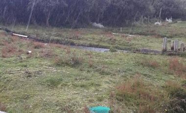 VENDO HACIENDA CON CRIADERO DE TRUCHAS EN EL ANGEL- CARCHI