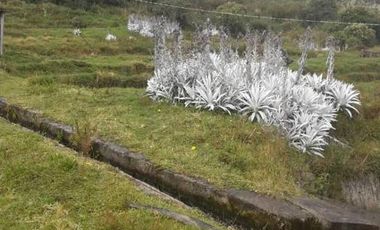 VENDO HACIENDA CON CRIADERO DE TRUCHAS EN EL ANGEL- CARCHI