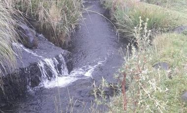 VENDO HACIENDA CON CRIADERO DE TRUCHAS EN EL ANGEL- CARCHI