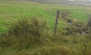 VENDO HACIENDA CON CRIADERO DE TRUCHAS EN EL ANGEL- CARCHI