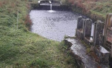VENDO HACIENDA CON CRIADERO DE TRUCHAS EN EL ANGEL- CARCHI