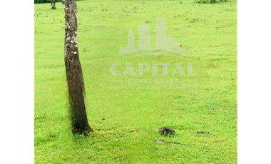 SE VENDE FINCA GANADERA EN DOS BOCAS - SON