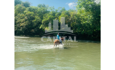 SE VENDE FINCA GANADERA EN DOS BOCAS - SON