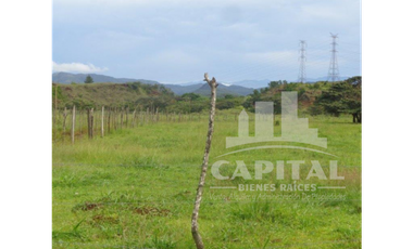 SE VENDE FINCA GANADERA EN DOS BOCAS - SON