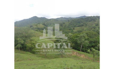 SE VENDE FINCA GANADERA EN DOS BOCAS - SON